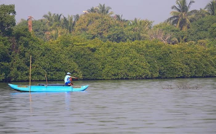 विला Rivershore Wayikkal